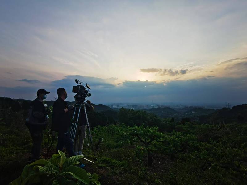 聚焦金东区产品宣传视频拍摄公司，用专业实力铸就品牌传播传奇